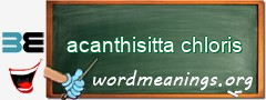 WordMeaning blackboard for acanthisitta chloris